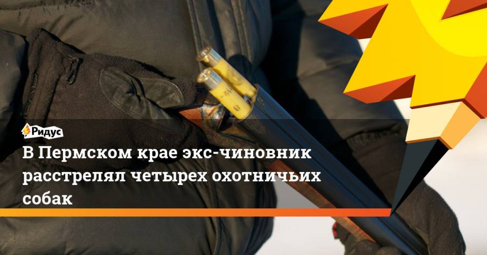 В Пермском крае экс-чиновник расстрелял четырех охотничьих собак