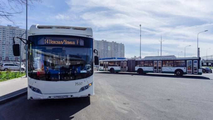 В историческом центре Петербурга станет больше экологичных автобусов