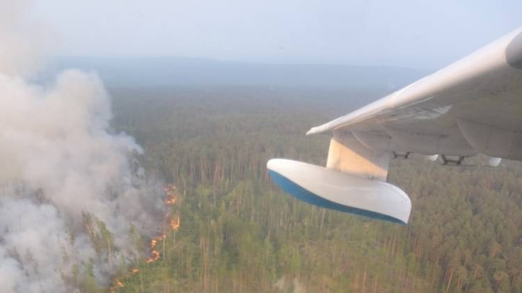 Авиалесоохрана зафиксировала площадь лесных пожаров в Сибири
