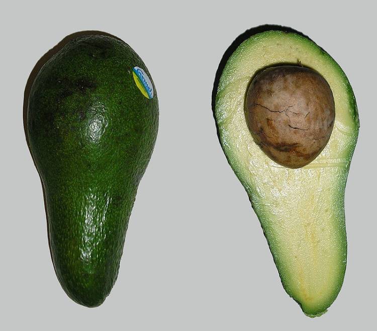 Ученые рассказали о пользе употребления авокадо