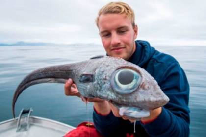 Рыбак выловил рыбу с аномально большими глазами и съел ее