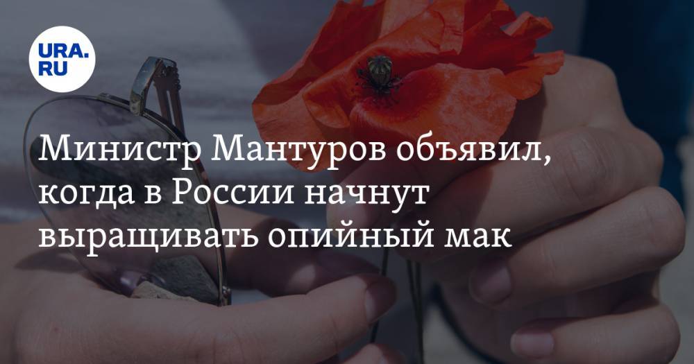 Министр Мантуров объявил, когда в России начнут выращивать опийный мак