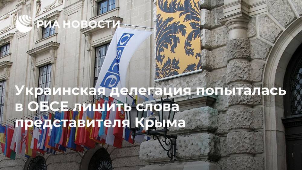 Украинская делегация попыталась в ОБСЕ лишить слова представителя Крыма