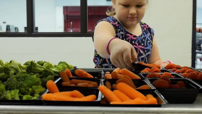 Правительство России поддержало законопроект об обеспечении горячим питанием учеников начальных классов