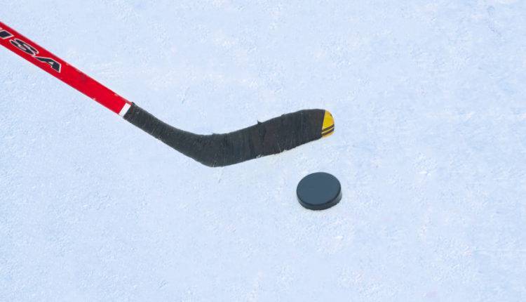Двух российских хоккеистов дисквалифицировали пожизненно за драку