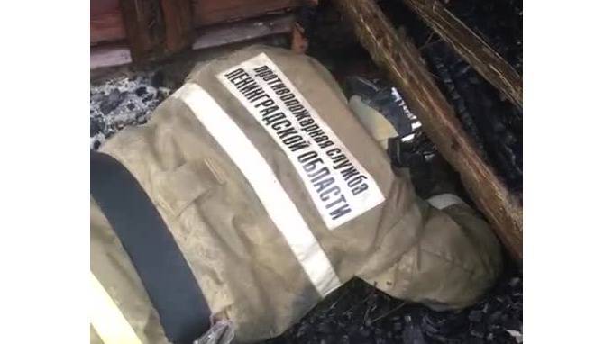 Из-под завалов сгоревшего в Новой Ладоге здания спасли котенка