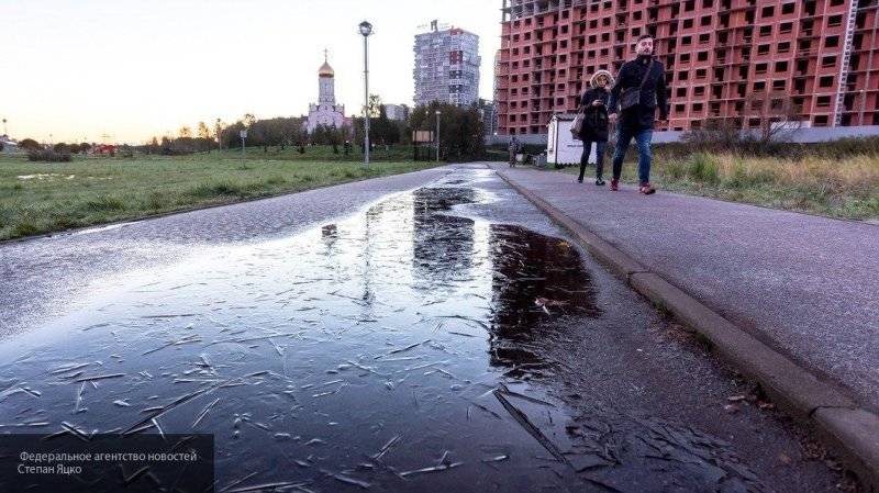 Спасатели предупредили петербуржцев о заморозках в ночь на 19 сентября