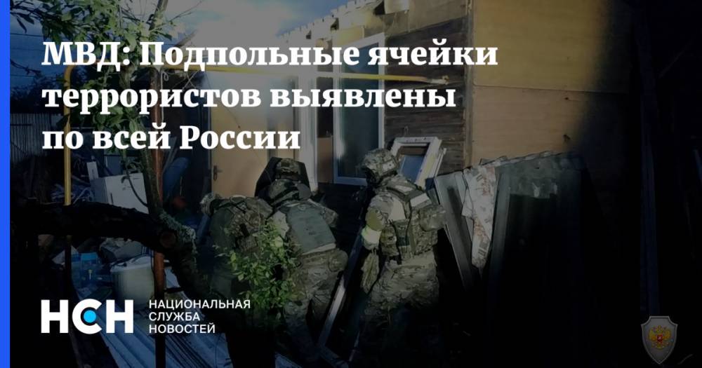 МВД: Подпольные ячейки террористов выявлены по всей России