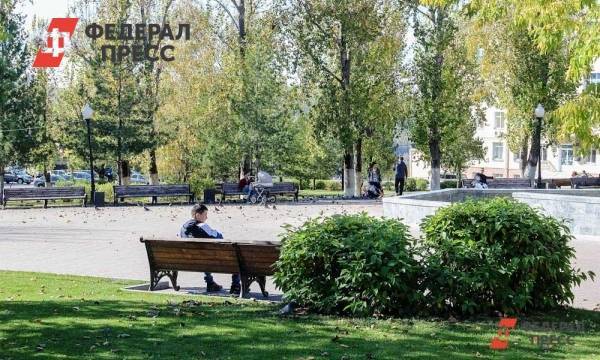 В Перми началась осенняя озеленительная кампания