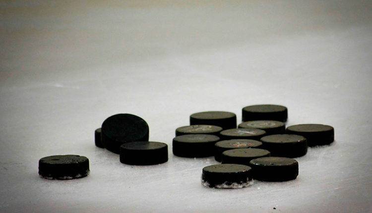 В Новосибирске болельщики избили хоккеиста во время матча (ВИДЕО)