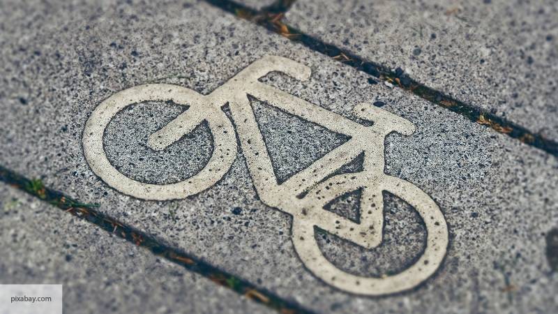 В Петербурге разыскивают велосипедиста, сбившего насмерть пенсионера