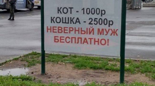 В Петербурге реклама кастрации животных оскорбила «неверных мужей»