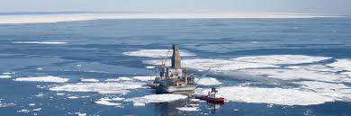 Кремль пока не решил вопрос о льготах для «Роснефти» за Арктику: Песков