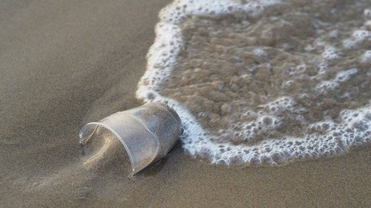 Одноразовые предметы составляют 62 процента мусора на заповедном побережье Приморья
