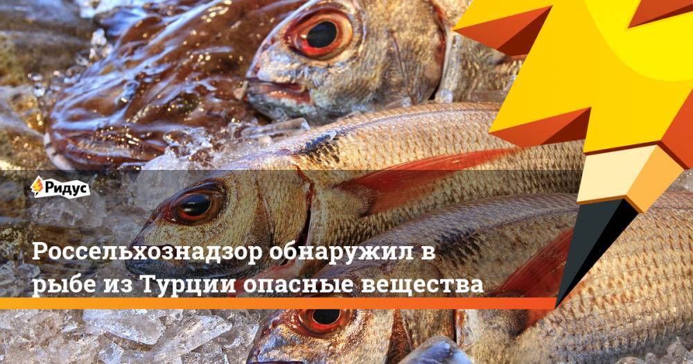 Россельхознадзор обнаружил в рыбе из Турции опасные вещества