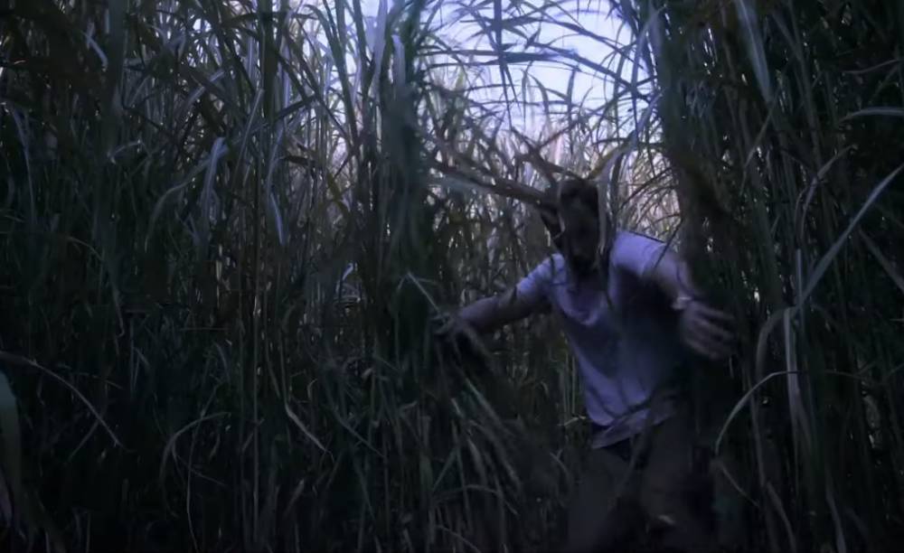 Netflix показал первый трейлер «В высокой траве» по мотивам рассказа Стивена Кинга