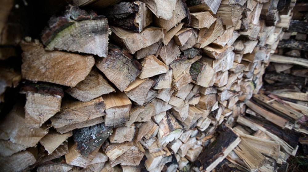Житель Карелии незаконно нарубил дров на 10 тысяч рублей