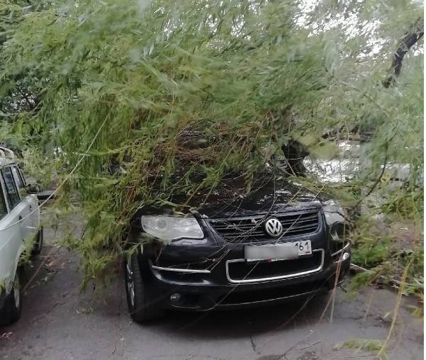 Видео: ураган повалил деревья в Ростове-на-Дону