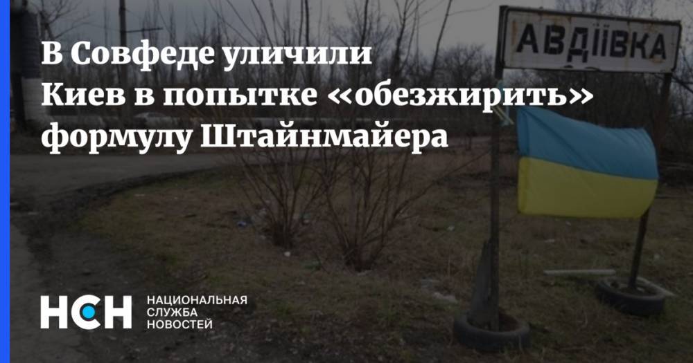 В Совфеде уличили Киев в попытке «обезжирить» формулу Штайнмайера