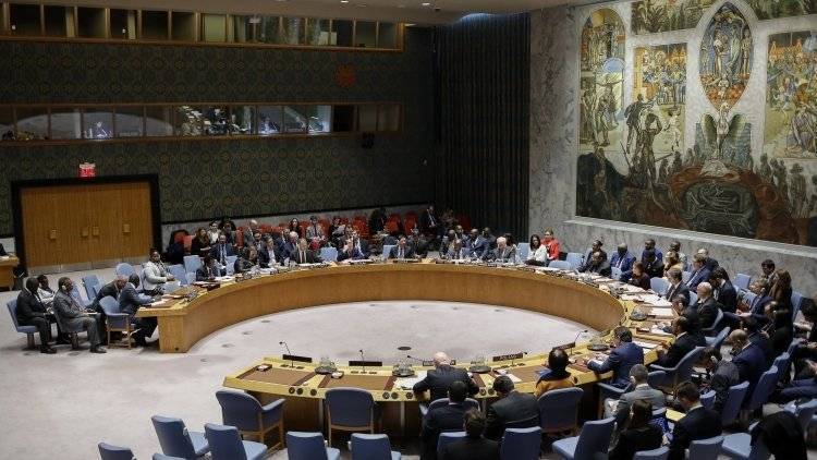 Россия и Китай предложили в Совбезе ООН свою резолюцию по деэскалации в сирийском Идлибе