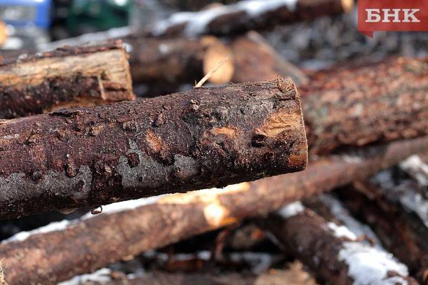 Ущерб от черных лесорубов превысил в Коми 4 млн рублей