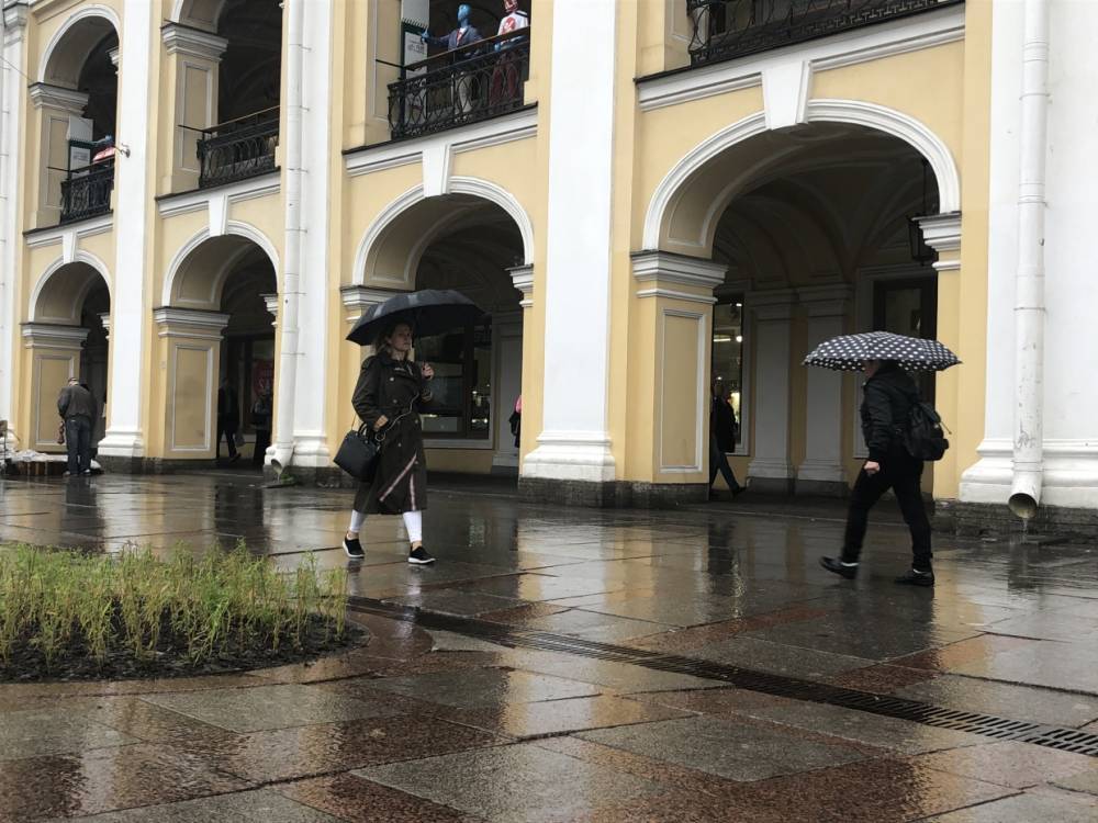 Прохлада и короткие дожди ждут Петербург 19 сентября