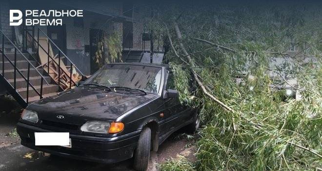 В Уфе спасатели получили 50 обращений жителей о падении деревьев и обрывах проводов из сильного ветра