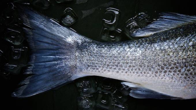 Рыба в России резко подорожала из-за снижения улова