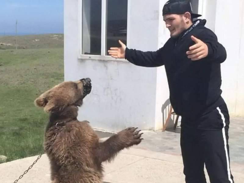 Нурмагомедов возмутил защитников животных видео драки с медведем