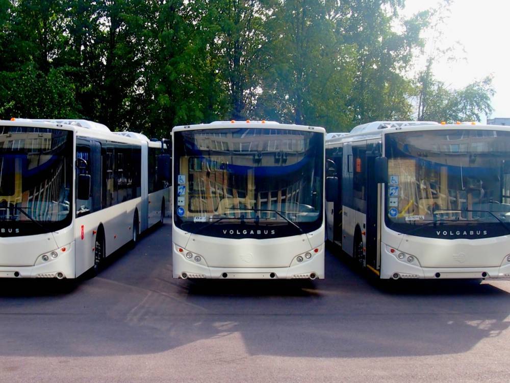 В Петербург привезли 20 новых автобусов
