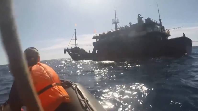 В Японском море ФСБ задержала более 160 браконьеров из КНДР — видео