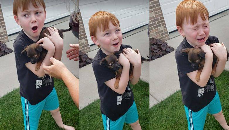 6-летний мальчик расплакался от счастья, когда ему подарили долгожданного щенка