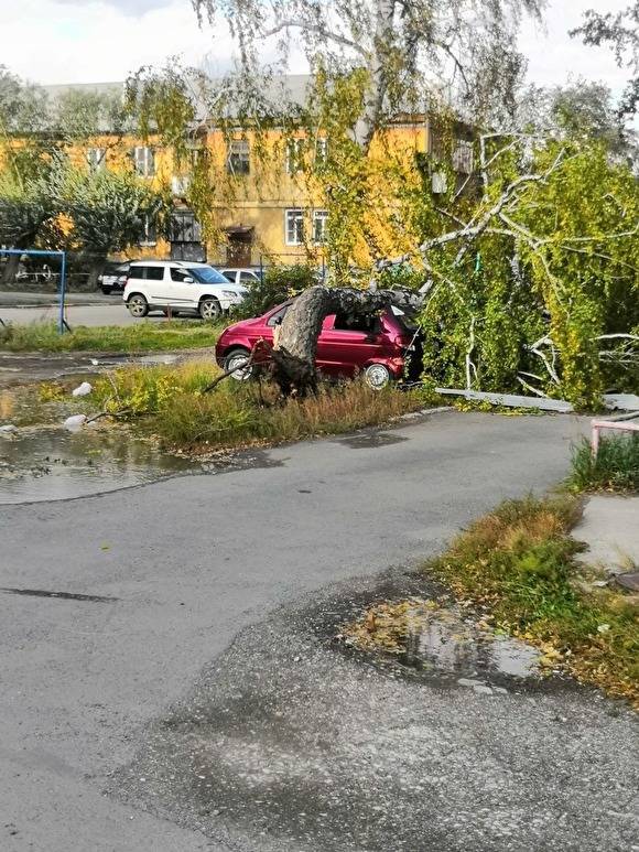 В Челябинске сильный ветер сносит деревья