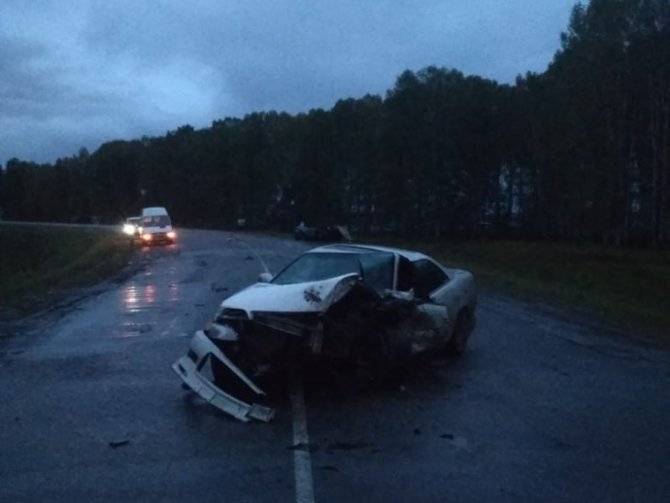 Водитель ВАЗа погиб в ДТП в Муромцевском районе Омской области