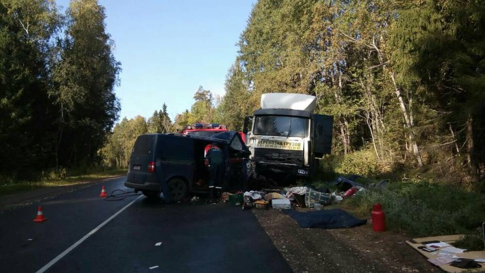 Пять человек пострадали в ДТП с участием грузовика на Ставрополье