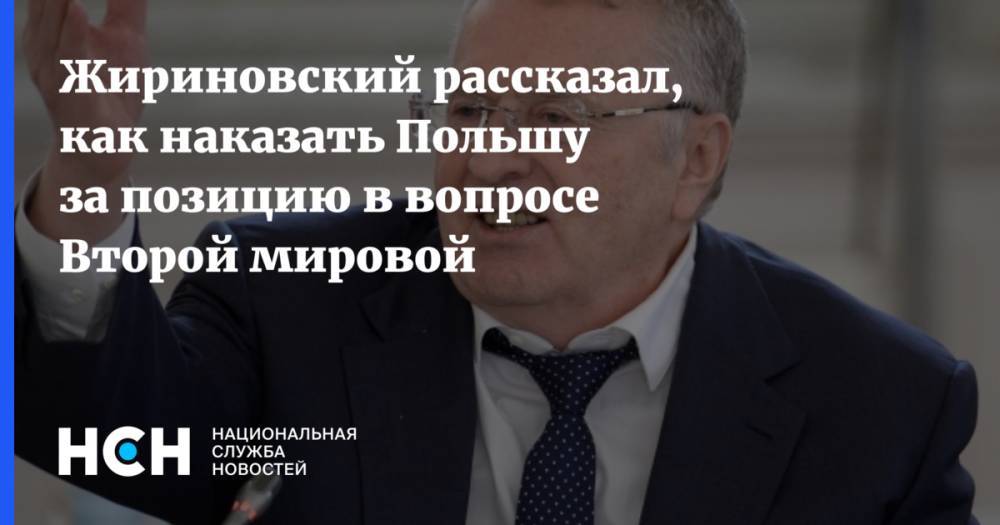 Жириновский рассказал, как наказать Польшу за позицию в вопросе Второй мировой
