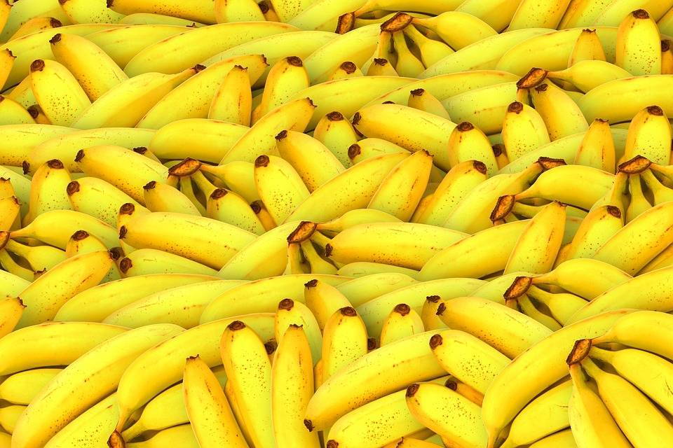 Медики перечислили полезные свойства бананов
