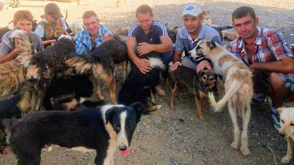 Ташкентских бомжей отправили в приют для собак | Вести.UZ