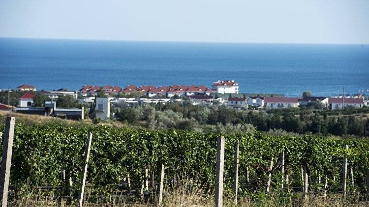 Крымские виноделы оценили новые законы о поддержке виноградарей