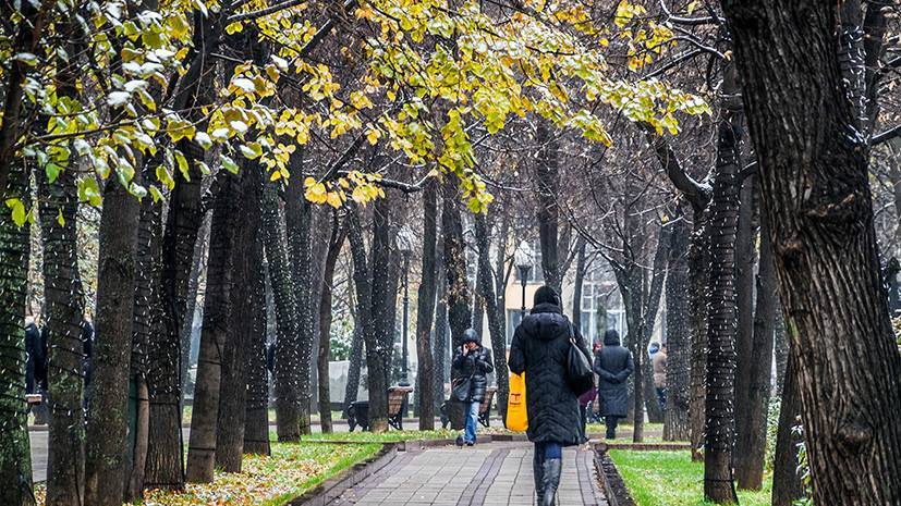 «Каждая последующая ночь будет холоднее предыдущей»: синоптики сообщили о заморозках в Центральной России на выходных