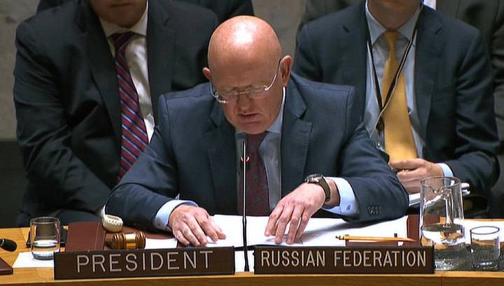 Россия и Китай ветировали западную резолюцию по сирийскому Идлибу