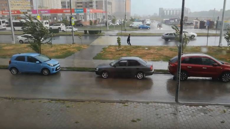 Сильный дождь и ветер повалили более 90 деревьев в Ростове-на-Дону (ВИДЕО)