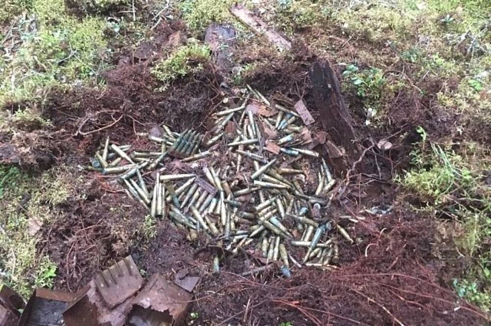 Пограничники нашли более 800 боеприпасов в лесу у Костомукши