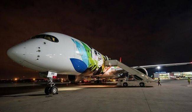 В Пулково приняли гигантский Airbus A350 из Китая