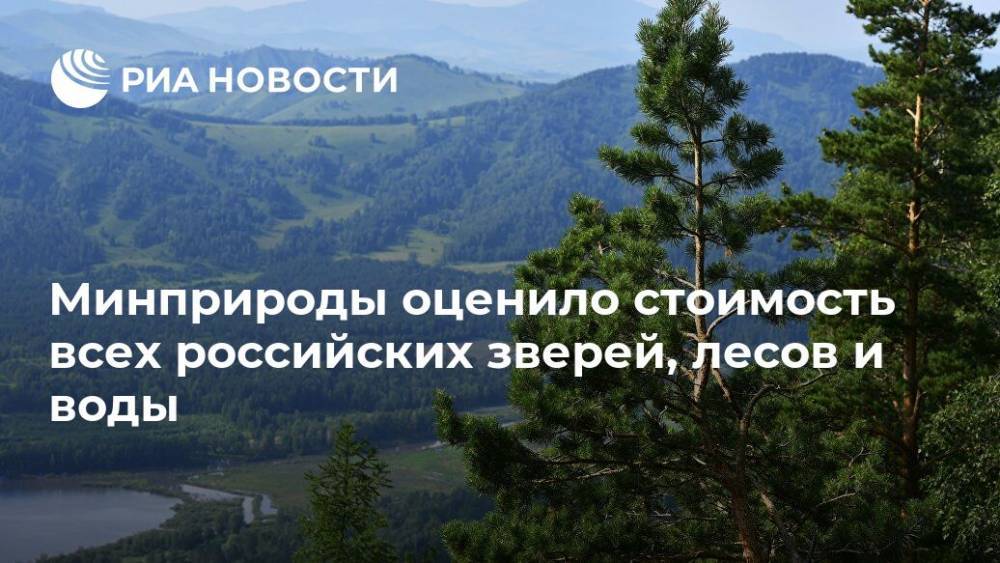 Минприроды оценило стоимость всех российских зверей, лесов и воды