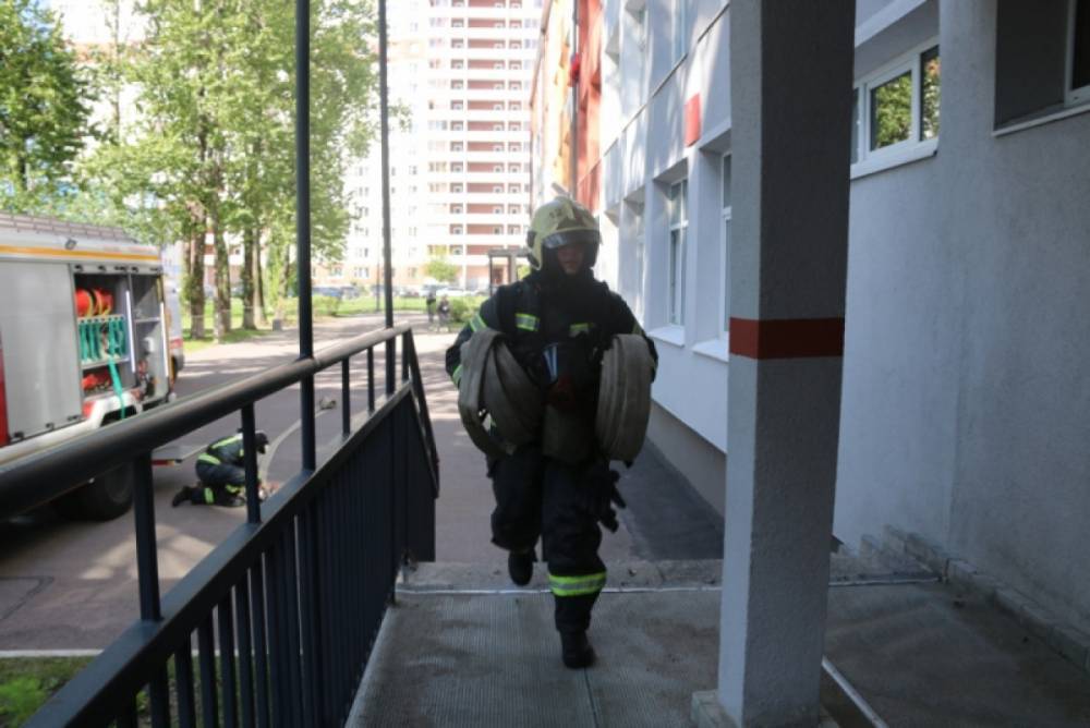 В двух пожарах в Псковской области никто не пострадал