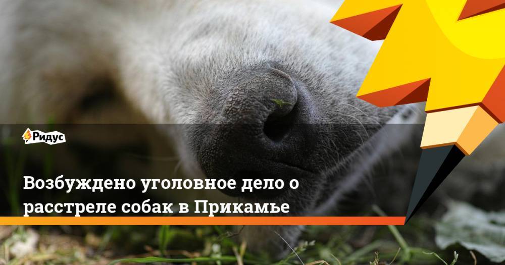 Возбуждено уголовное дело о расстреле собак в Прикамье - ridus.ru - Россия - Пермский край - Горнозаводск
