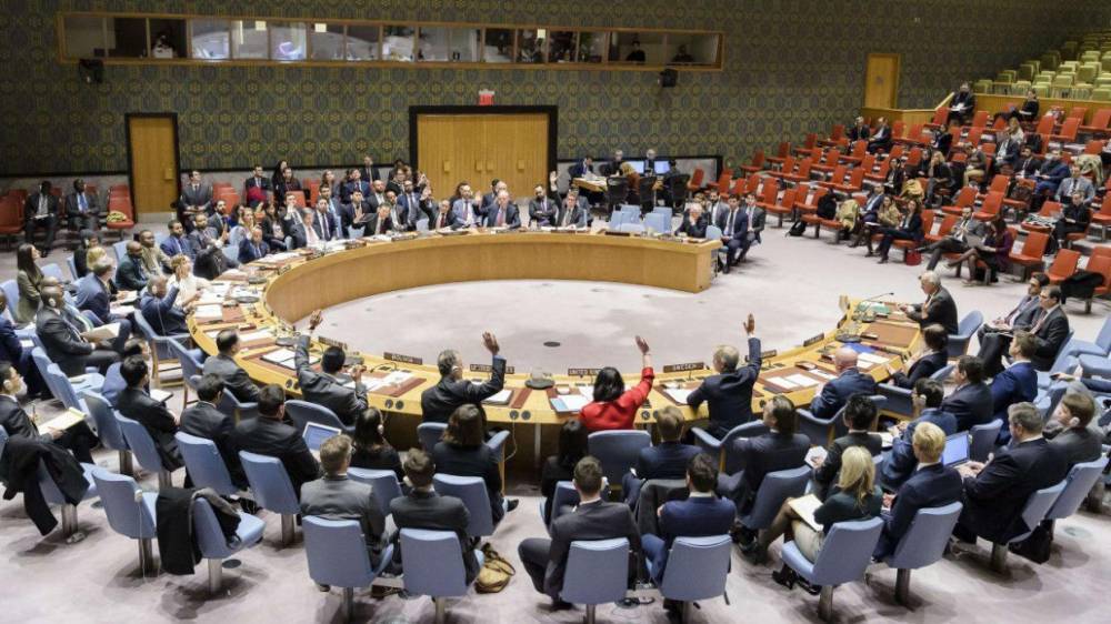 Совбез ООН проголосовал против проекта резолюции РФ и Китая по Идлибу