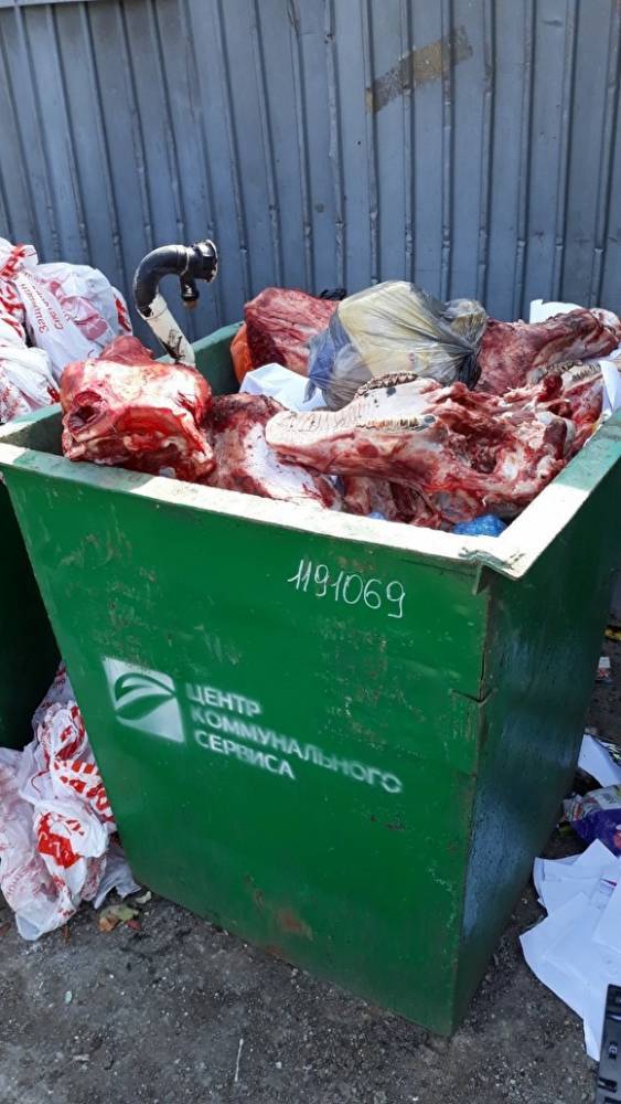 В Челябинске мусорный контейнер завалили остатками мясных туш