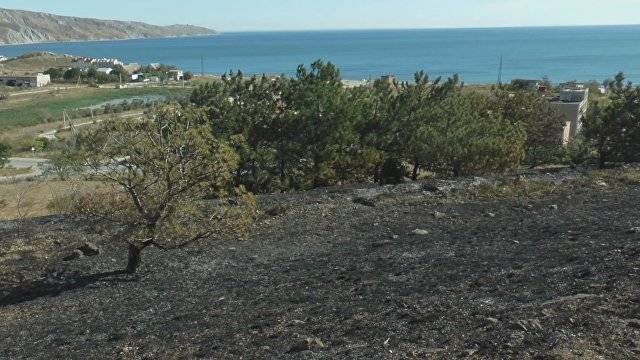 Последствия крупного пожара близ поселка Орджоникидзе